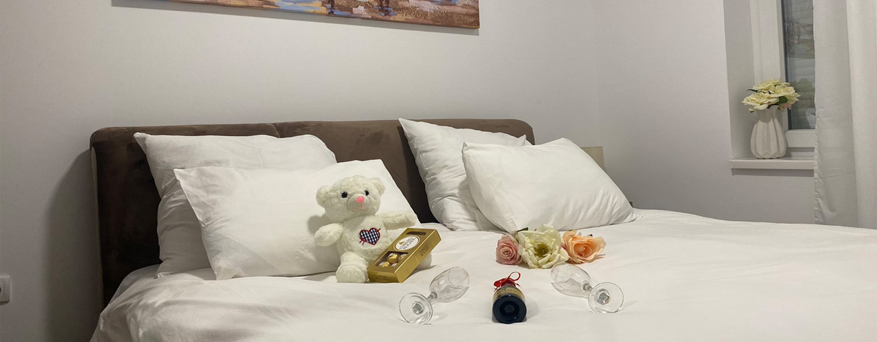 Vila Ana LUX Apartmani 3